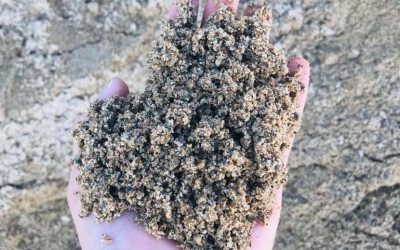 Tiêu chuẩn cát nhân tạo trong sản xuất bê tông
